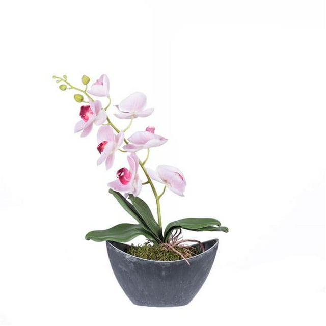 Orchidée Rose de 20,5 Po dans un Récipient Ovale