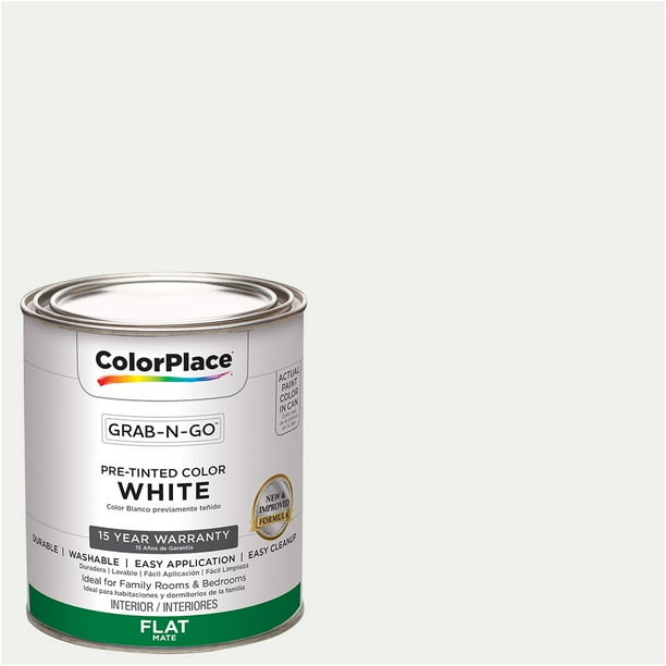 ColorPlace Pre Mixed Ready to Use, Interior Paint, Flat Finish,White,1