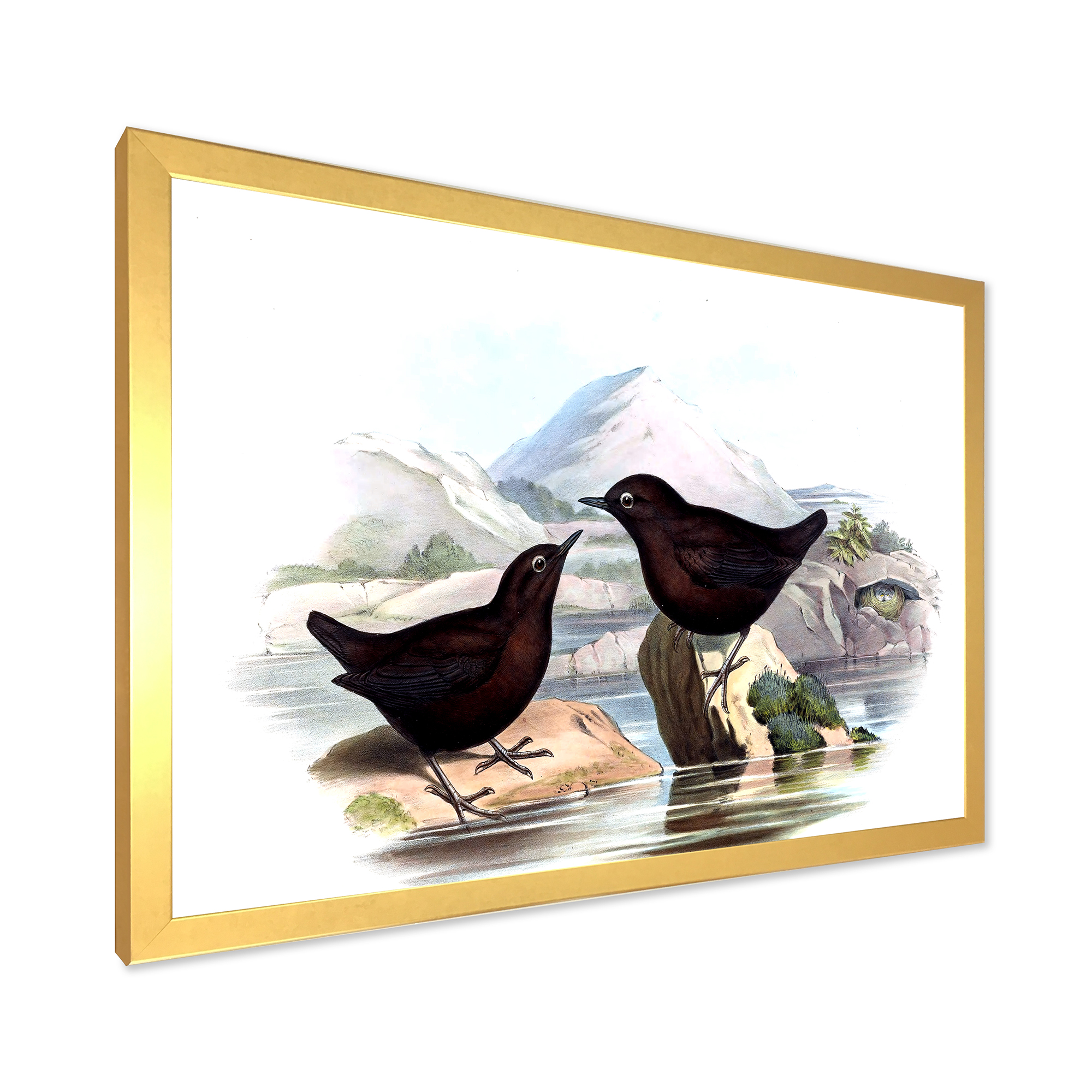 Designart 'Vintage Countryside Two Birds' Farmhouse Framed Art Print