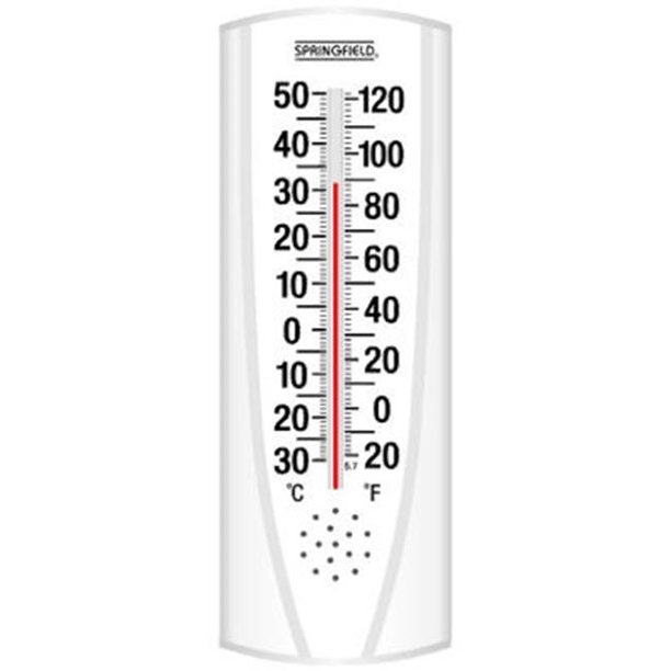 Taylor 90110 Indoor & Outdoor Thermometer