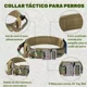 thumbnail image 5 of Collar Táctico De Perro Hebilla Metálica Ajustable+correa, 5 of 8