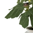 thumbnail image 4 of Better Homes & Gardens Artificial Fig Leaf in Tan Ceramic Vase, 13", 4 of 8