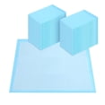 thumbnail image 1 of Almohadilla de entrenamiento FluffyDream superabsorbente e impermeable para perros, 1 of 7