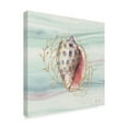 thumbnail image 2 of Trademark Fine Art 'Ocean Dream VII' Canvas Art by Lisa Audit, 2 of 3