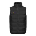 thumbnail image 4 of Jalioing Heated Vest for Women Cold Weather 4 Heating Zone Thermal Jacket USB Recharging Warm Vest Winter Clothes, 4 of 7