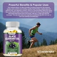 thumbnail image 5 of Black Currant Oil 1000mg - GLA Gamma Linolenic Acid - Support Brain, Skin, Nails & Heart Health - 120 Capsules, 5 of 10