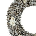 thumbnail image 3 of Northlight White Glittered Rose and Walnut Shell Artificial Christmas Wreath - 19-Inch, Unlit, 3 of 3