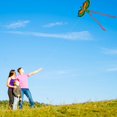 thumbnail image 1 of Flying 3D Cartoon Parrot Kite Children Outdoor Kids Toy Fun Activity Game Gift, 1 of 7