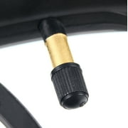 DENEST 20 Front Rear Wheel Conversion Kits 1000W 48V Motor Hub Electric Bicycle E-Bike