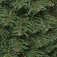 thumbnail image 4 of National Tree Company Pre-Lit Artificial Assortment, 2 Entrance Trees, 1 Wreath, 1 Garland, Green, Warm White Lights, Battery Operated, Timer, Plug In, Indoor or Outdoor Use., 4 of 4