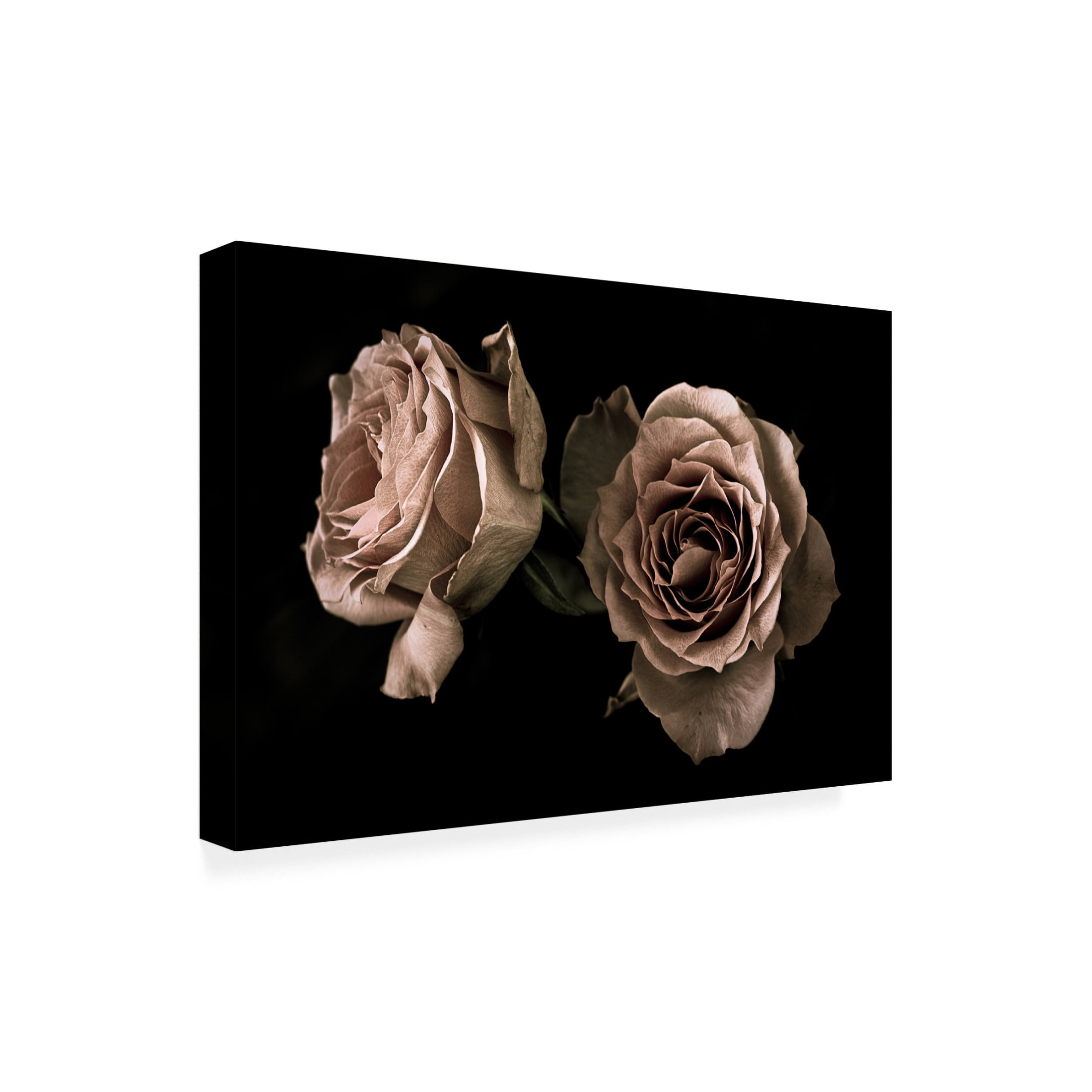 Trademark Fine Art Angel Julie Roses Canvas Wall Art