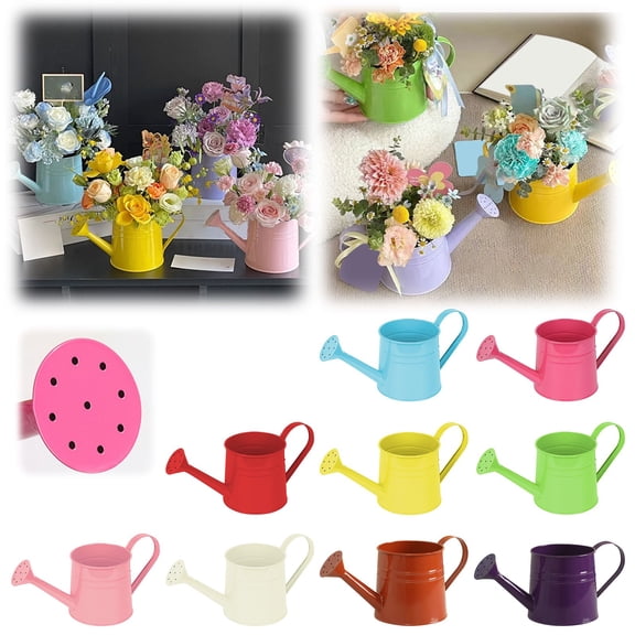 CHENjy Galvanized Watering Can, Metal Decorative Watering Can Flower Pot with Vintage Design, Small Planter for Home and Garden Arrangement, Blue
