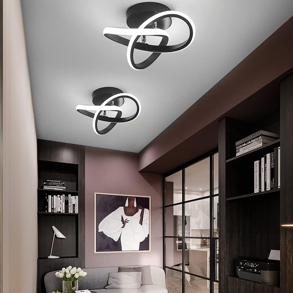 Senhu Modern LED Ceiling Light 22W 6000K White Light Black Finish Electric Powered LED Ceiling Lamp in Flower Shape for Bedroom Corridor Balcony