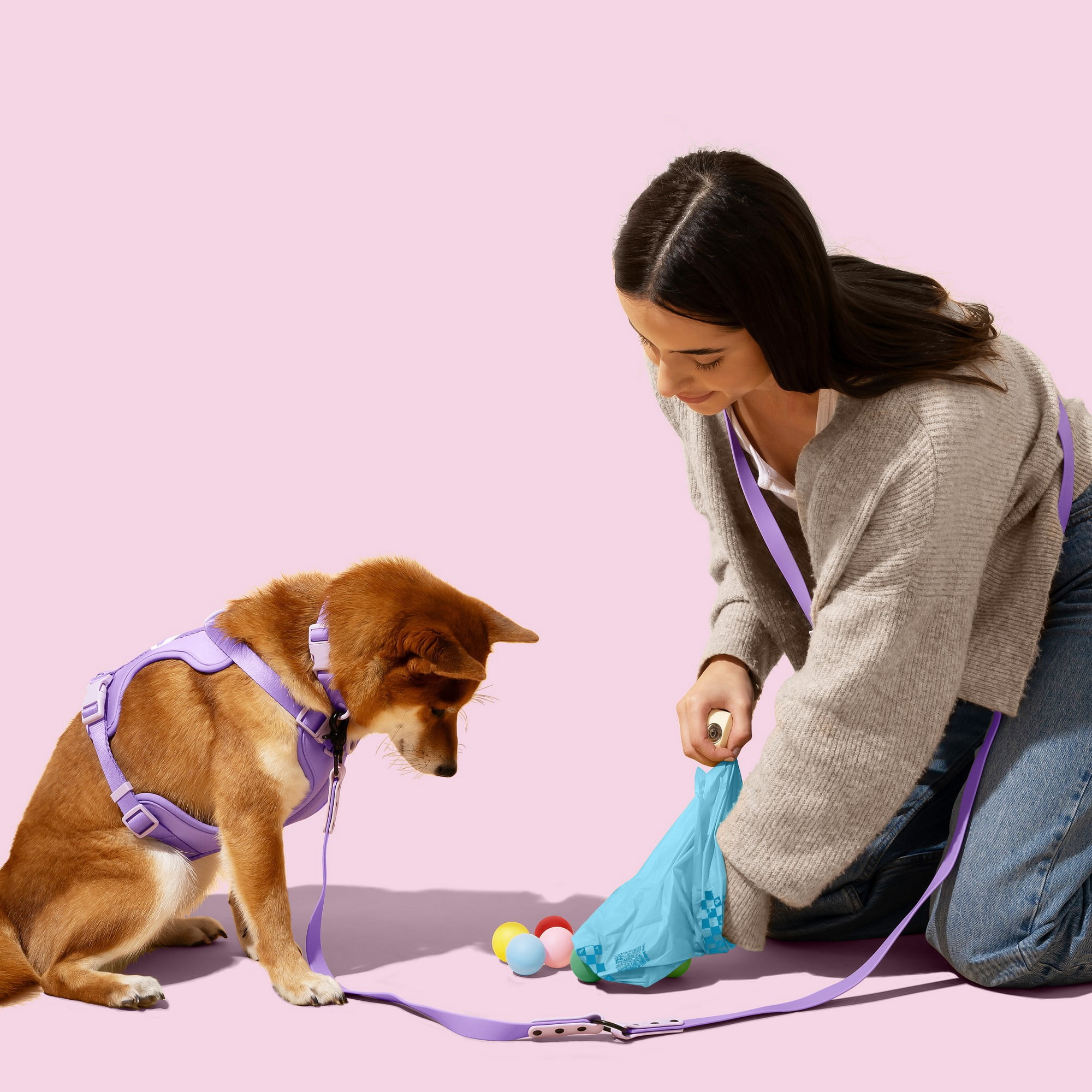 THE LICKER STORE The Licker Store 13 in. x 9 in. Extra Thick Leak Proof Unscented Dog Poop Bags, Blue (300 Count, 20-Rolls), WBG1000A-20SET