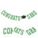 thumbnail image 1 of VERDANVERSE Banner Decorativo Para Graduación Verde Para Fiesta Colgante Con Duradero, 1 of 6