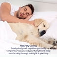 thumbnail image 6 of PupSheets? Hair Resistant, Antimicrobial & Cooling Sheet Set, 6 of 15