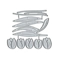 thumbnail image 6 of Die Cuts for Card Making, Ouginx Tulip Flowers Metal Cutting Dies DIY Die Cutters Die Stencils for Scrapbooking, Embossing & More, 6 of 6