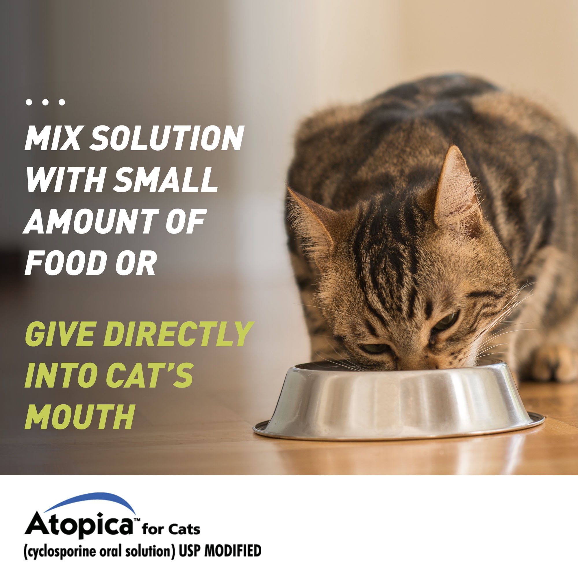 Atopica Cat Atopica for Cats | Allergic Dermatitis Treatment | Cat Itch Relief | Oral Solution | 17 ml