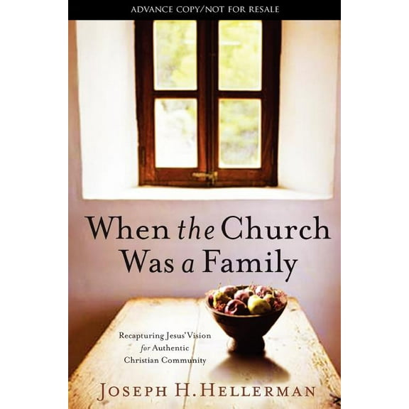 When the Church Was a Family : Recapturing Jesus' Vision for Authentic Christian Community (Paperback)