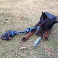 thumbnail image 3 of Langgg Spring Pole Dog Rope Toy Dog Tug of War Toy Outdoor Hanging Exercise Rope for Pet, 3 of 6