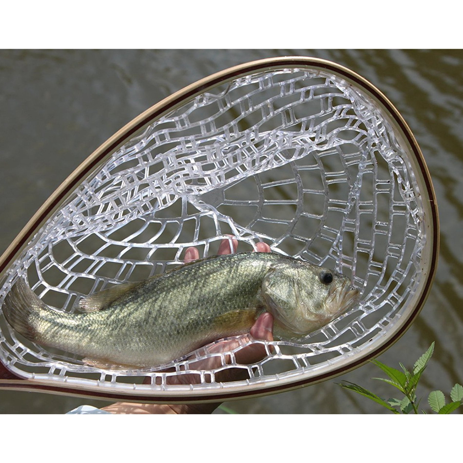 Fly Fishing Landing Net with Wooden Handle Frame,Trout Bass Rubber Catch and Release Fish Net,Gift for Anglers & Fly Fishing Enthusiasts