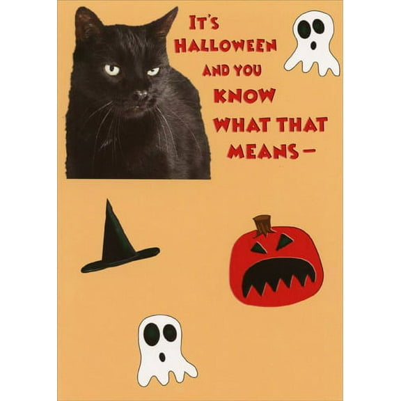 Recycled Paper Greetings Black Cat Nap Funny Halloween Card from Cat
