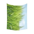 thumbnail image 2 of CADecor Green Wheat Field Wall Hanging Tapestry Dorm Art 60x80 inches, 2 of 2