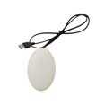 thumbnail image 1 of Descongelador para bebederos de pájaros de exterior con control termostático y apagado automático, para agua potable de aves, 1 of 5