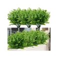 thumbnail image 1 of 6 Bundles Outdoor Artificial Boxwood UV Resistant Fake Stems Plants, Faux Plastic Greenery for Indoor Outside Hanging Plants Garden Porch Window Box H, 1 of 5
