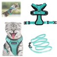 thumbnail image 1 of Foulard pour Chat avec Laisse, Foulard et Laisse pour Chat, Foulard Ajustable pour Chat, Foulard pour Chat et B, 1 of 5