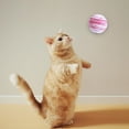 thumbnail image 5 of Juguete interactivo para gatos, pelota para gatitos con colores brillantes y ejercicio saludable, 9 Uds., 5 of 5