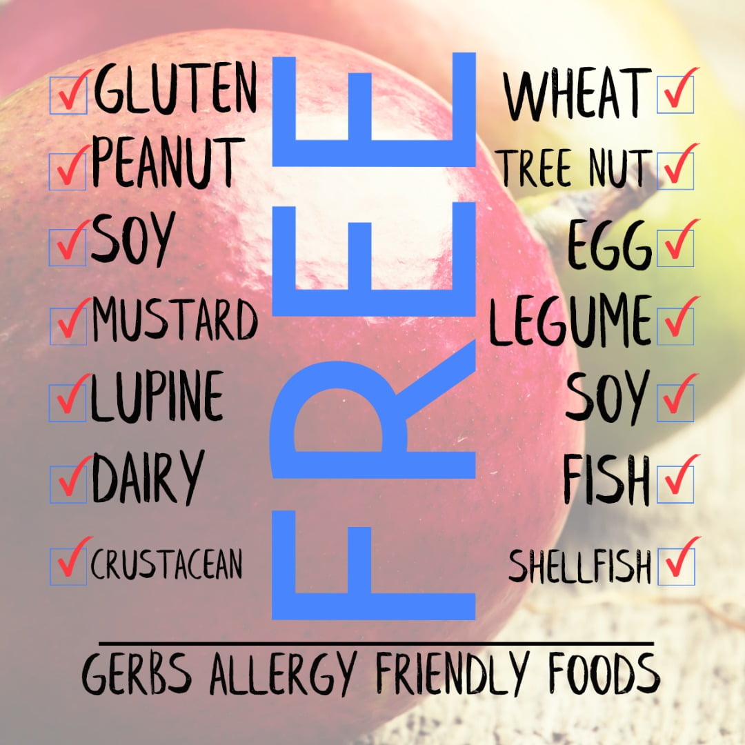 GERBS Dried Mango Slices Unsweetened 2 LBS.
