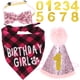 thumbnail image 1 of KAKOWELY 1 juego de gorro y babero de cumpleaños para gato, pajarita decorativa para gato, gorro y babero con números de feliz cumpleaños, 1 of 4