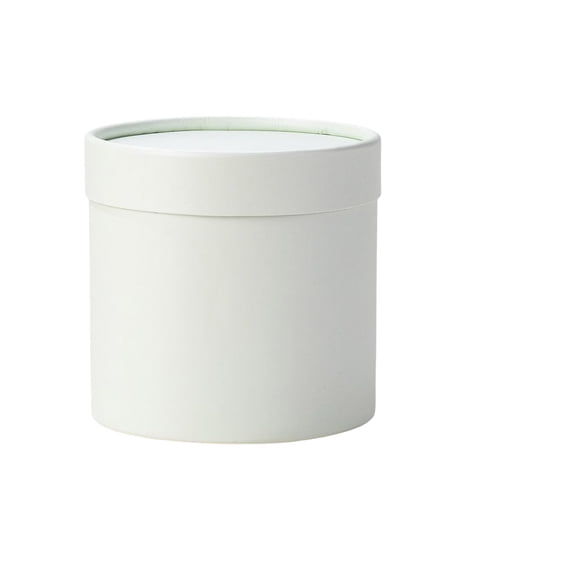 Caja de cartón rosa para fiestas con tapas, Cubo de flores, regalo, embalaje presente, asidero redondo, adornos de almacenamiento para fiestas Almacenamiento y organización del hogar Verde claro Billuyoard HA081903-04