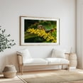 thumbnail image 6 of Honeybee Pollinating Goldenrod - York Pennsylvania Photography Insect Wildlife Nature Flowers Botanical Animal Garden Unframed Wall Art Print 20 x 28 inches, 6 of 10