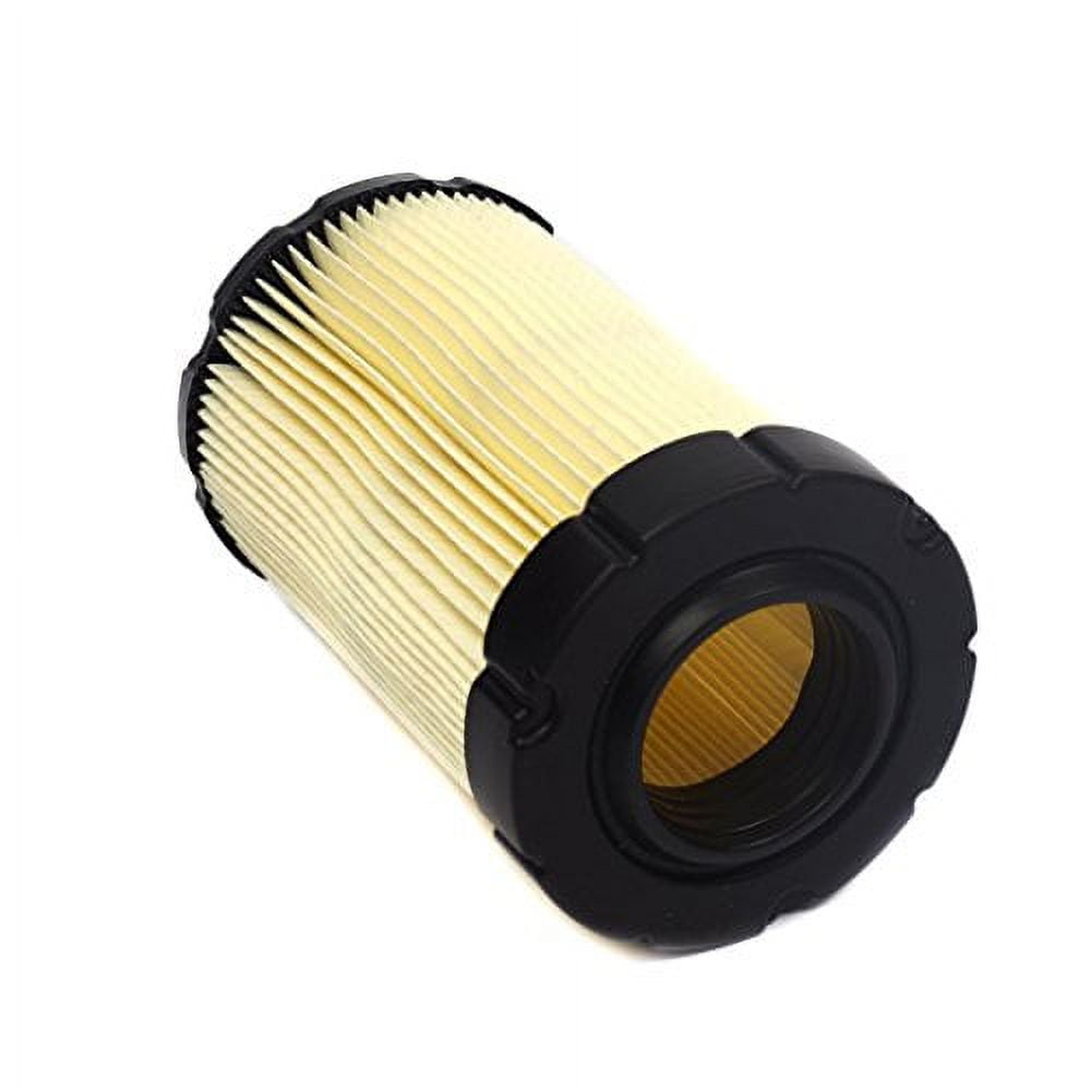 Filtre à air pour moteur Briggs & Stratton (396424) 60100 - 80200 - 80300 - 80400 - 81200 - 81300 Filtre à air pour moteur Briggs & Stratton (396424) 60100 - 80200 - 80300 - 80400 - 81200 - 81300
