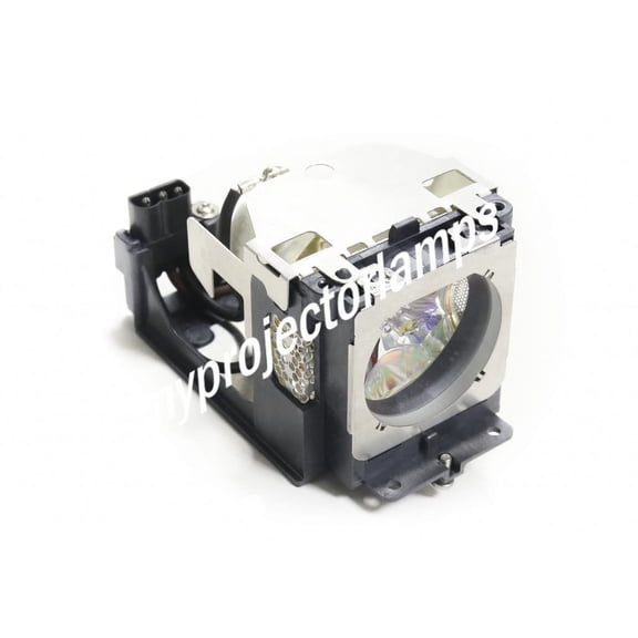 Eiki LC-XB41N Projector Lamp with Module