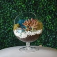 thumbnail image 5 of 6" Chalice Glass Succulent Terrarium Kit for Kids & Adults, Reindeer Moss, Crystals, Rocks, Tools & Figurine (Includes Live Plant), 5 of 12