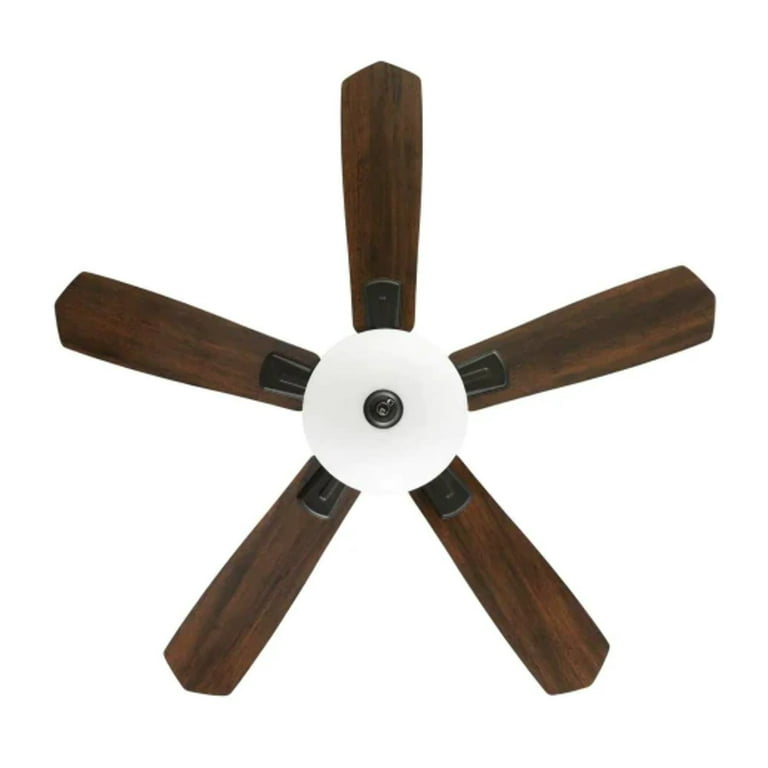 Hampton Bay Ceiling Fan Making Ticking Noise Shelly Lighting