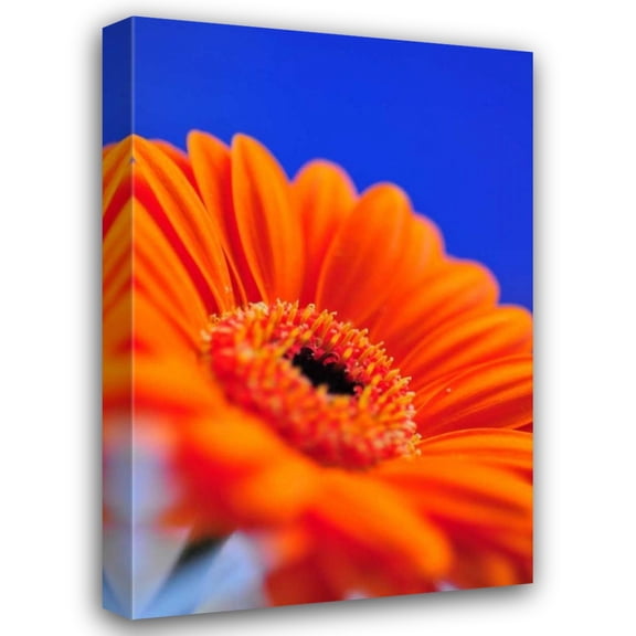 Erin Berzel 17x24 Gallery Wrapped Canvas Wall Art Titled - Compliments II