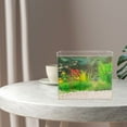 thumbnail image 1 of LOVEVER Betta Fish Tanks for Beginners with Easy Cleaning Feature 1Set 11.8x7.9x4.3in, 1 of 8