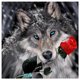 thumbnail image 2 of Cuadros Decorativos Taladro redondo completo de diamantes de imitación con pintura de lobo de nieve rosa para decoración de habitaciones Ehuebsd embutido en tela, 2 of 8