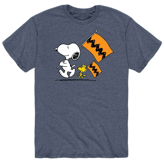 Peanuts - Charlie Brown Flags - Men's Short Sleeve Graphic T-Shirt