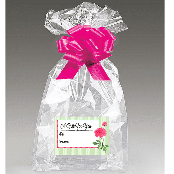 2pack Pink Bows Rose Gift Tags with Extra Large Jumbo 30 x 40 Clear