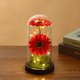 thumbnail image 3 of Regalo creativo, girasol, flor eterna, cubierta de vidrio, luz de noche de girasol, pantalla de lámpara acrílica, decoración, 3 of 5