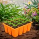 thumbnail image 5 of 12 agujeros Silicona plántulas bandejas de inicio de la planta de flores transpirables Caja Bandeja de siembra de jardinería reutilizable para el sistema de cultivo de hidroponía, 5 of 6