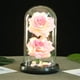 thumbnail image 2 of Nuevo Hogar Regalos para el Hogar Vidrio Romántico Rosa Decoración Alto Vidrio de Borosilicato con Base de Madera 11x21.5cm para la Boda Rosa de Vacaciones en Vidrio, 2 of 2