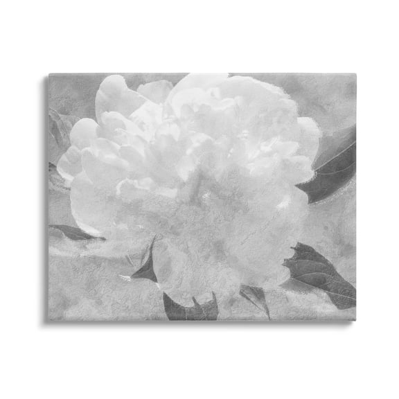 White Flower Blossom Monochrome Botanical & Floral Graphic Art Gallery Wrapped Canvas Print Wall Art
