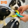 thumbnail image 4 of Nylabone Power Play Puppy Toy Small/Regular - Up to 25 Ibs (1 Count), 4 of 11