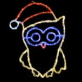 thumbnail image 2 of CC Christmas Decor LED Lighted Christmas Owl Outdoor Decoration - 19", 2 of 2